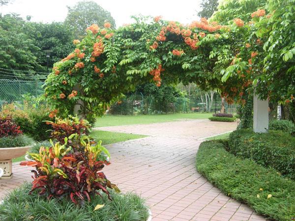 Penang Botanical Garden Garden Penang Travelmalaysia
