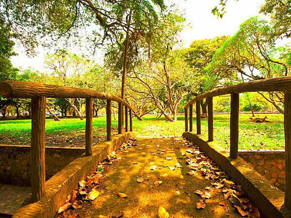 Dr. Seenivasagam Park - Park - Ipoh | TravelMalaysia